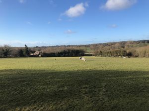 Photo 1- click for photo gallery